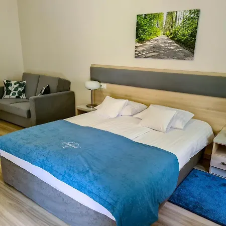 Отель Antoninska & 3*