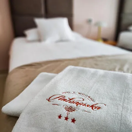Hotel Antoninska & Leszno (Greater Poland)