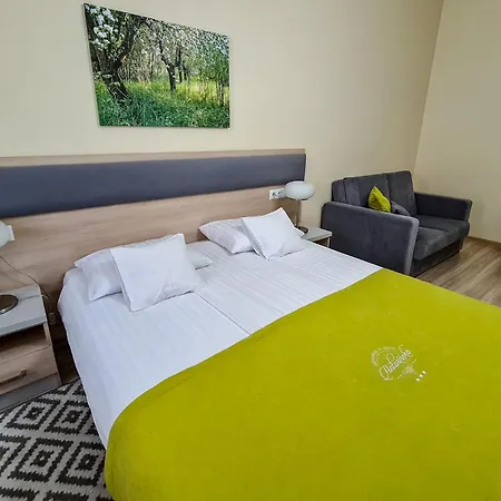 Antoninska & Hotel Leszno (Greater Poland)