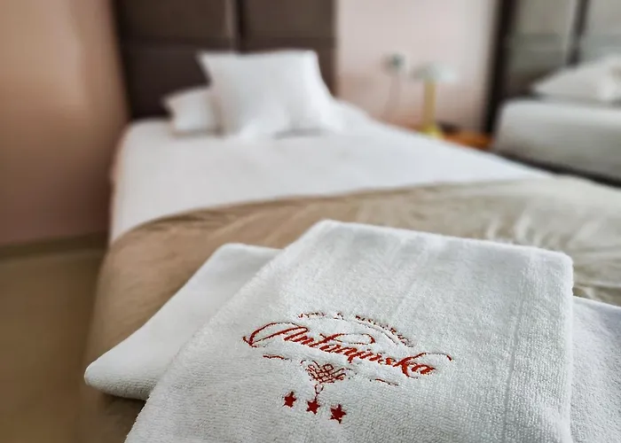 Hotel Antoninska & Leszno (Greater Poland)